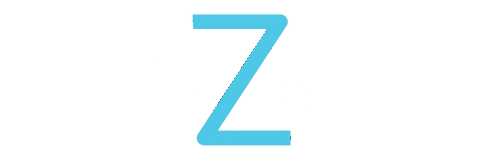 PLAYZWELL